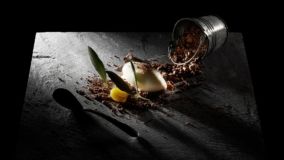 Stracciatella Taggiasca
Dessert gelato al piatto
Design Paolo Barichella
Realizzazione: Chef Marco Avella
Photo: Marco Varoli
Piatto linea Grigio Ardesia by Mauro Olivieri
Terra della Taggiasca by Mauro Olivieri
Gelato: Coolella by Paolo Barichella Stracciatella Taggiasca