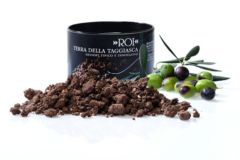 Terra della Taggiasca
Dessert innovativo ispirato a prodotti del territorio
Selzionato ADI Deisgn Index 2016
Design: Mauro Olivieri per ROI Terra della Taggiasca